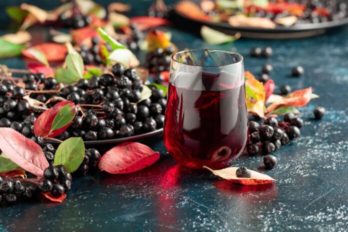 Aronia Heilpflanze Heilkraft Anwendung Nebenwirkungen