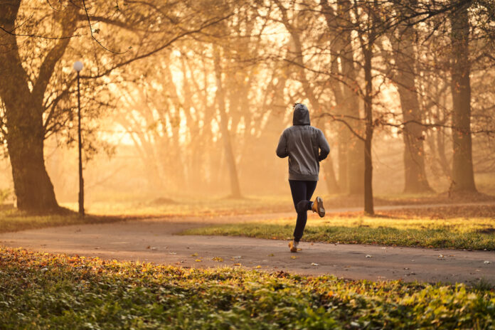 Fitness im Park Effektive Übungen für Anfänger und Fortgeschrittene