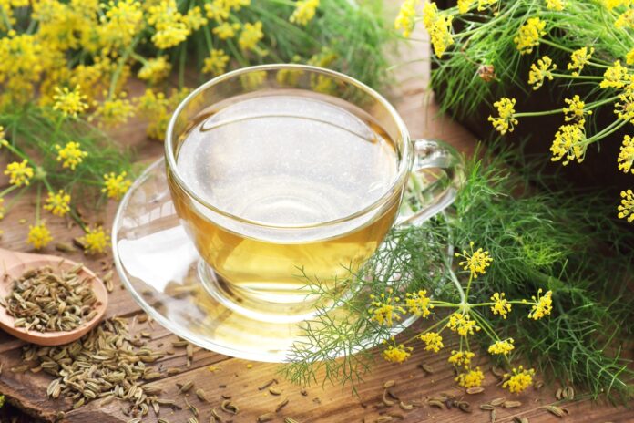 Fencheltee für die Gesundheit Anwendung, Wirkung und Tipps zur richtigen Dosierung Fencheltee für die Gesundheit Anwendung, Wirkung und Tipps zur richtigen Dosierung
