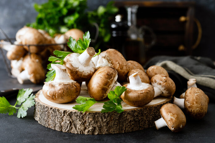 Champignon-Power: Entdecken Sie das Superfood, das Ihre Fitness neu definiert Champignon-Power: Entdecken Sie das Superfood, das Ihre Fitness neu definiert