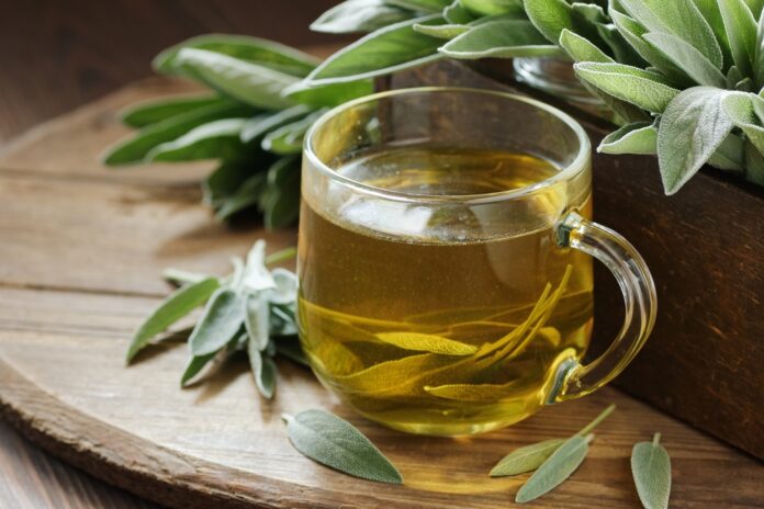 Salbei Tee Wie die Natur Ihnen helfen kann – Wirkung, Anwendung und Gesundheitsvorteile im Überblick Salbei Tee Wie die Natur Ihnen helfen kann – Wirkung, Anwendung und Gesundheitsvorteile im Überblick