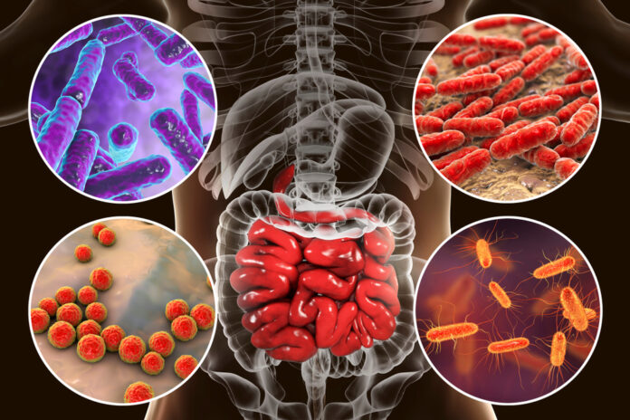 Nach Antibiotika So stärken 4 Lebensmittel Ihre Darmflora! Nach Antibiotika So stärken 4 Lebensmittel Ihre Darmflora!