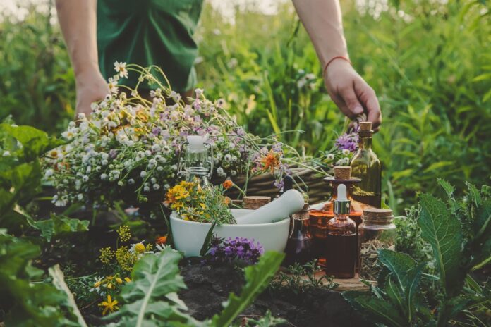 Ratgeber Natürliche Immunstärkung Pflanzliche Helfer und Vitamine zur optimalen Abwehrkraft Ratgeber Natürliche Immunstärkung Pflanzliche Helfer und Vitamine zur optimalen Abwehrkraft