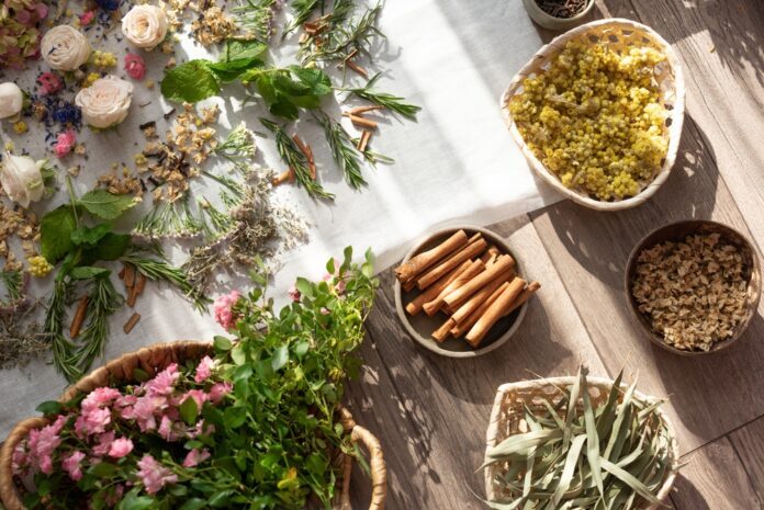 Ratgeber – Ayurveda im Alltag So integrieren Sie indische Heilkunst in Ihr tägliches Leben