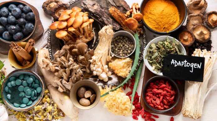 Superfoods & Adaptogene Natürliche Power-Kombi gegen Alltagsstress Superfoods & Adaptogene Natürliche Power-Kombi gegen Alltagsstress